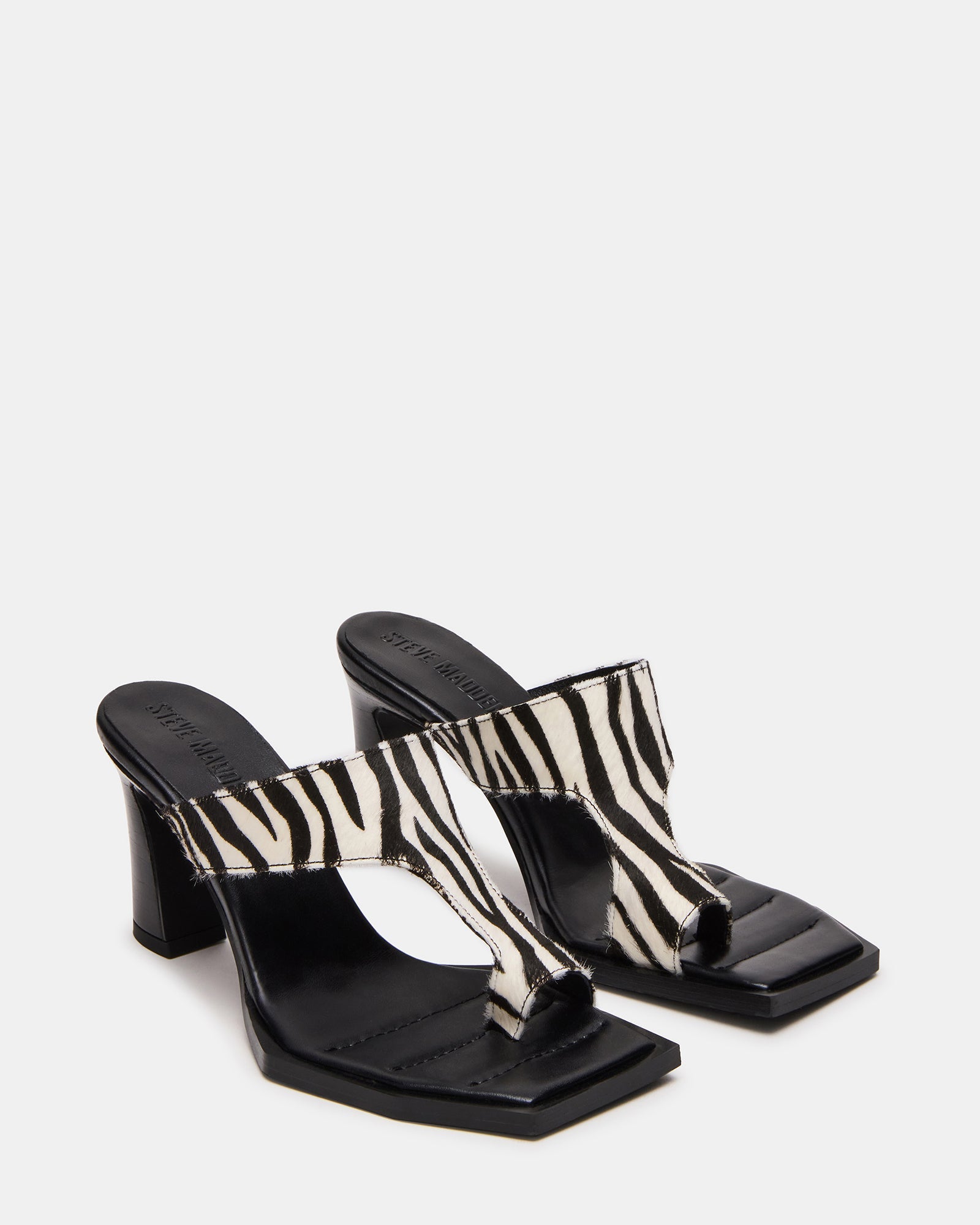 ALAMEDA ZEBRA